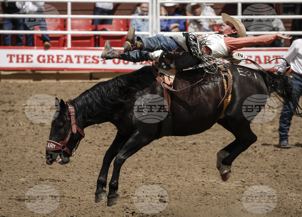 Calgary Stampede Rodeo