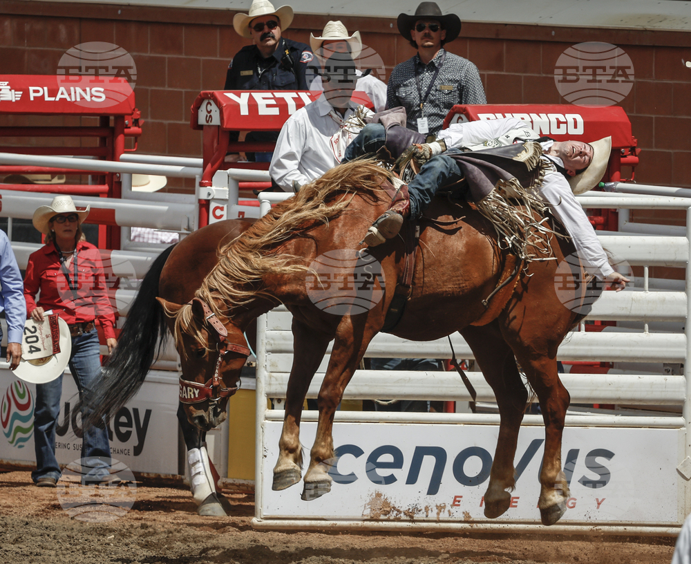 Calgary Stampede Rodeo