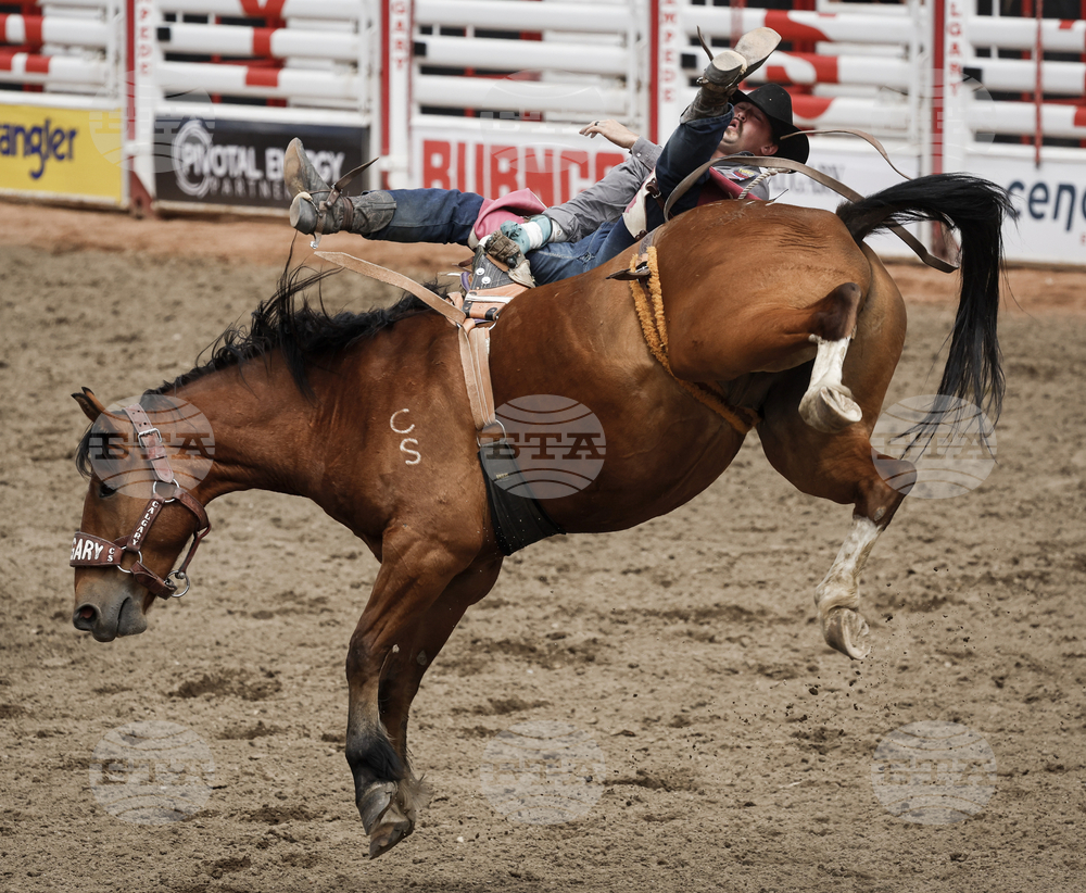 Calgary Stampede Rodeo