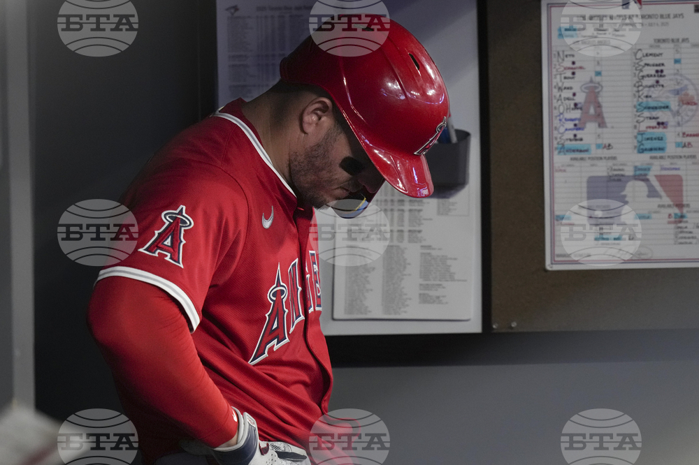 Angels Blue Jays Baseball