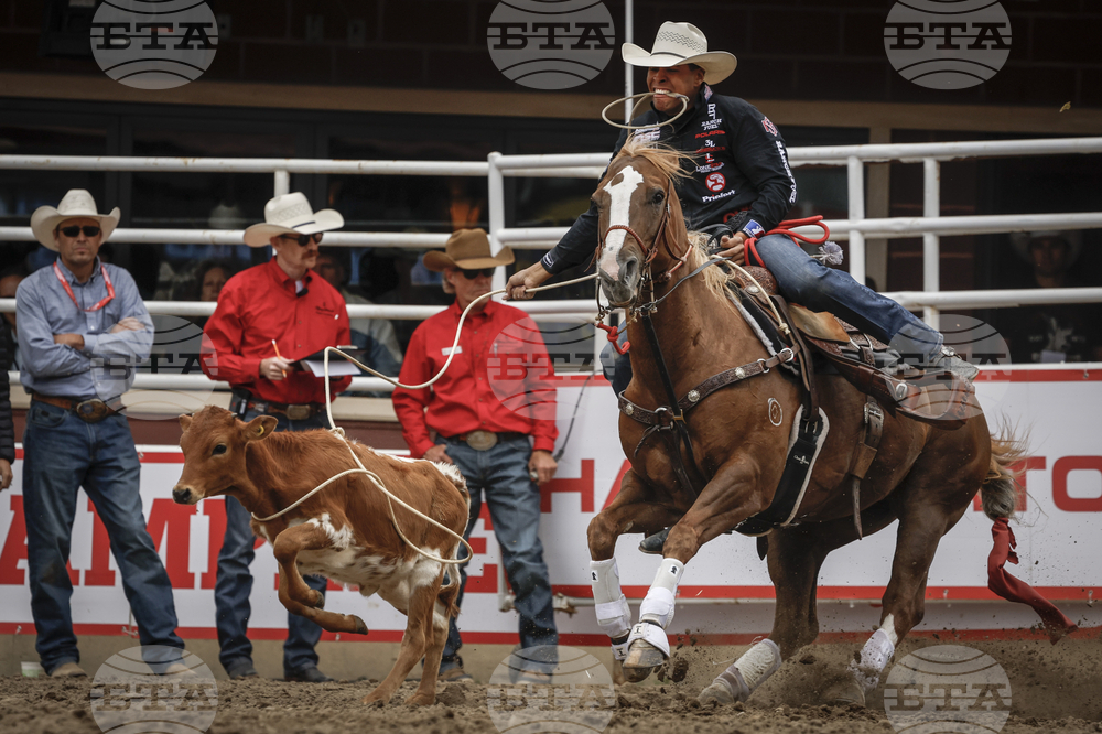 Calgary Stampede Rodeo