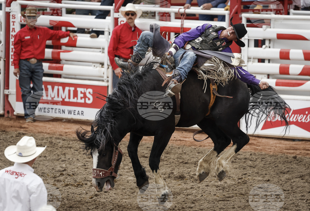 Calgary Stampede Rodeo