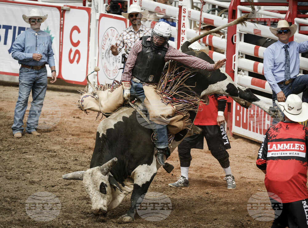Calgary Stampede Rodeo