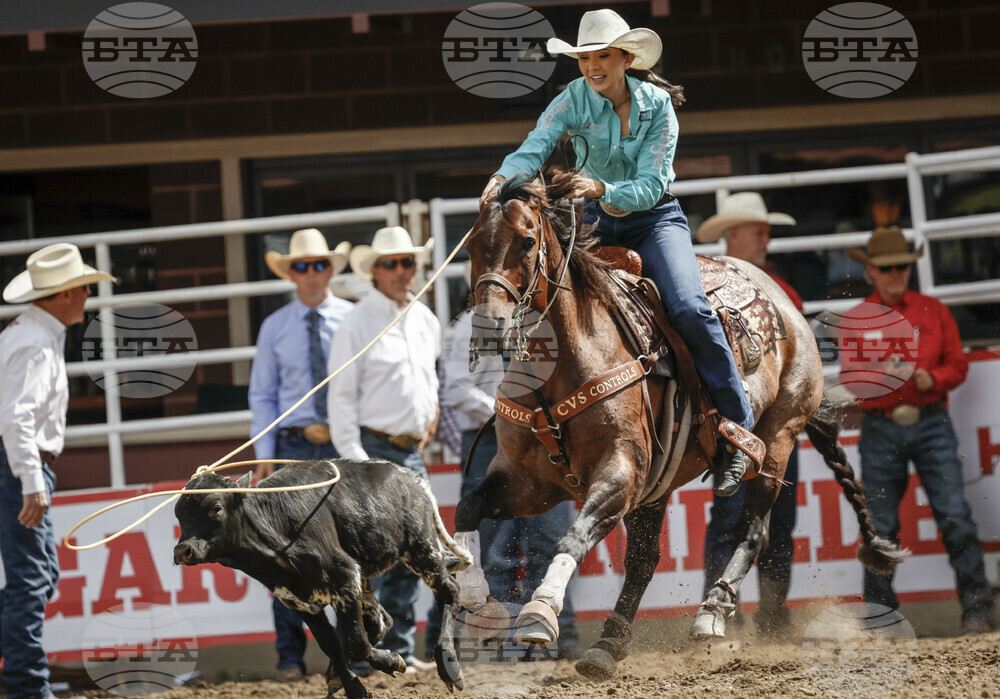 Calgary Stampede Rodeo