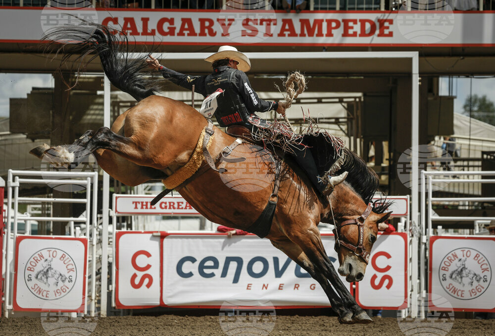 Calgary Stampede Rodeo