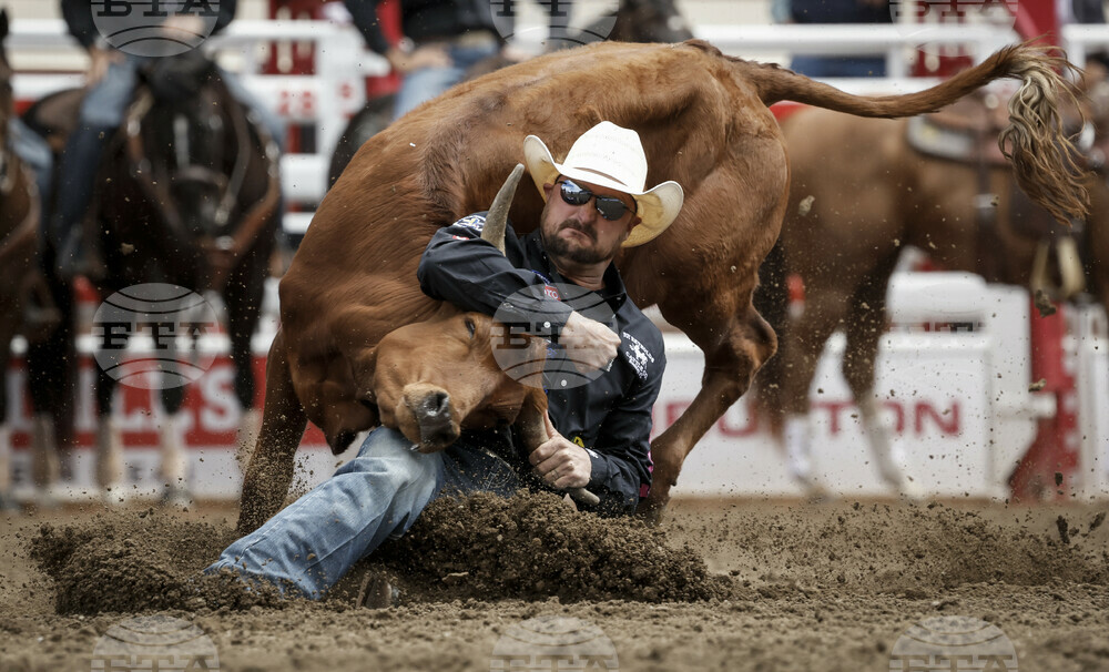 Calgary Stampede Rodeo