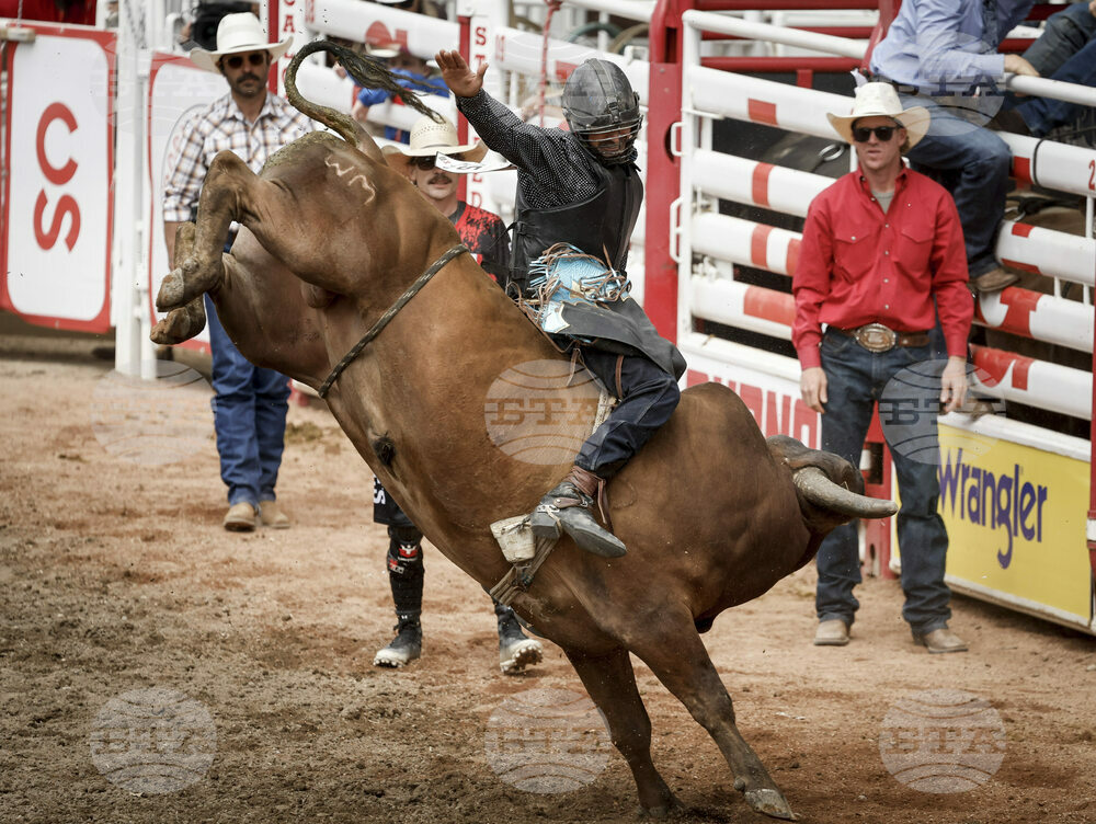 Calgary Stampede Rodeo