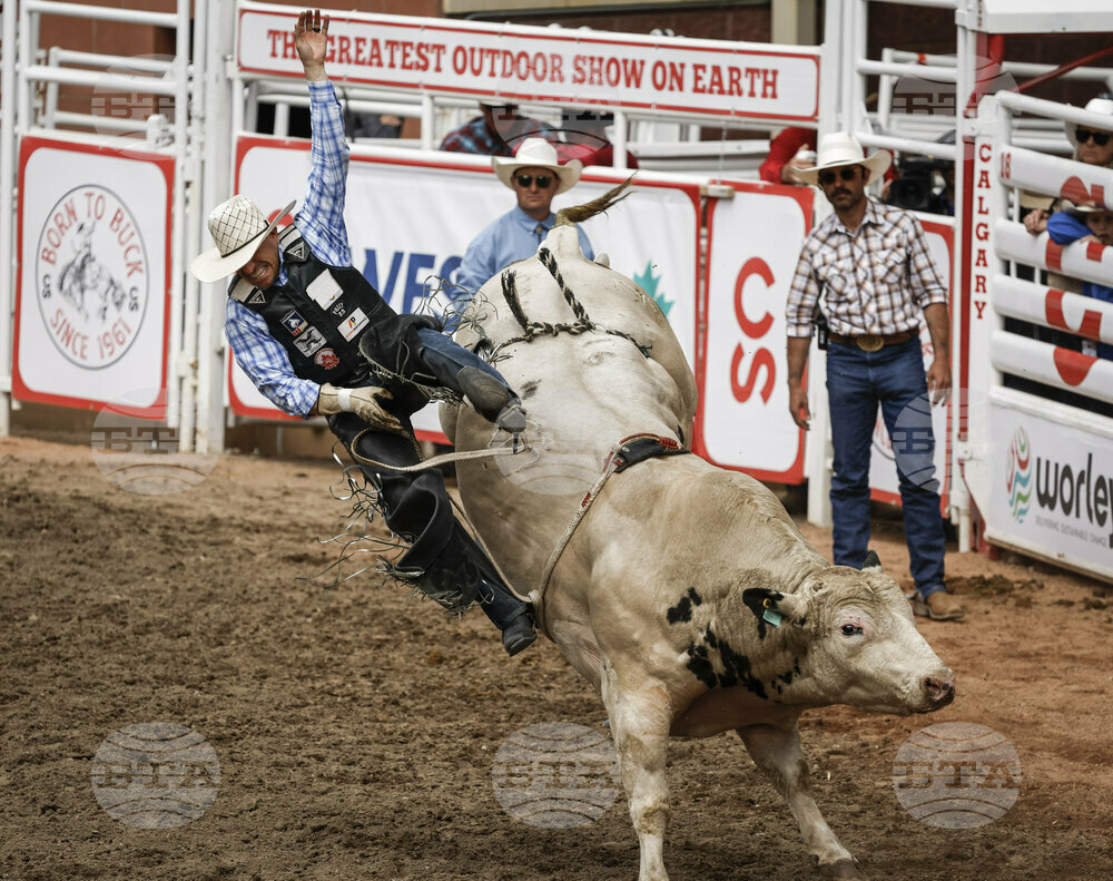 Calgary Stampede Rodeo
