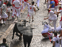 Spain Running of the Bulls