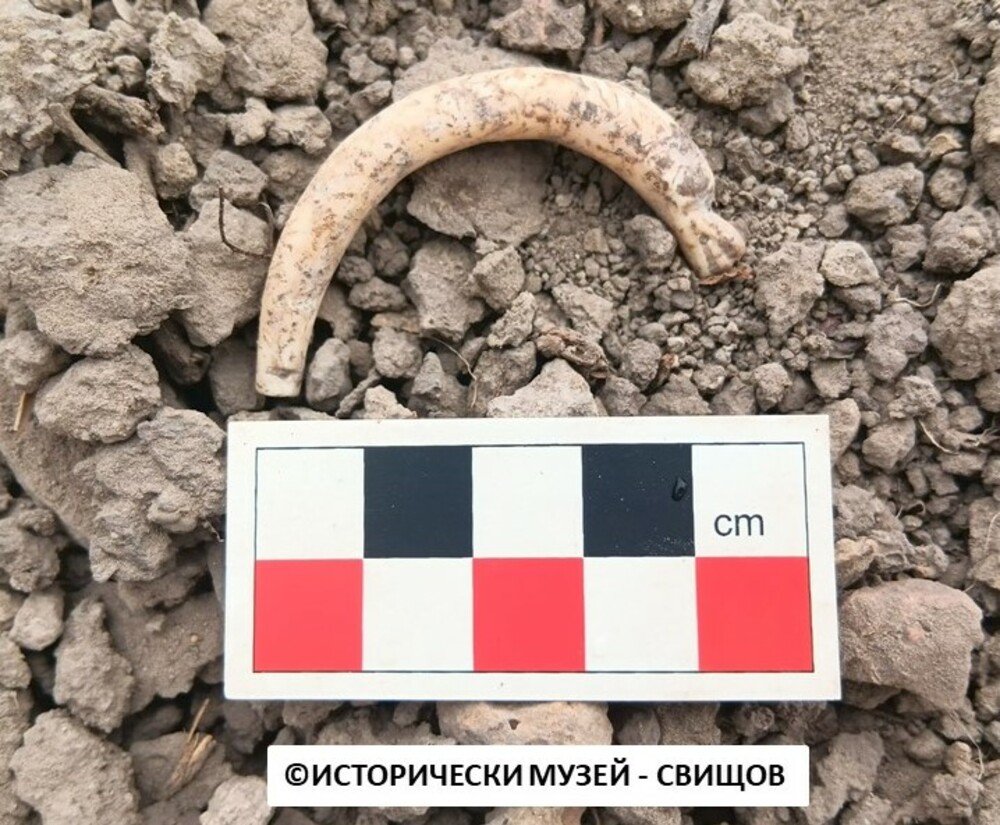 Амулет, изобразяващ крокодил, откриха при разкопки на архитектурния комплекс Нове край Свищов