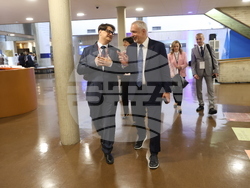 Франция - Ернесто Отоне - Мариан Бачев - среща