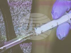 Съдебната палата - брифинг на прокуратурата и ГДБОП - задържани големи количества фентанил