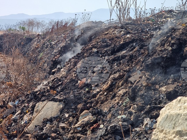 Сръбските метеоролози предупреждават за висока опасност от пожари, обявено е извънредно положение в Нови пазар 
