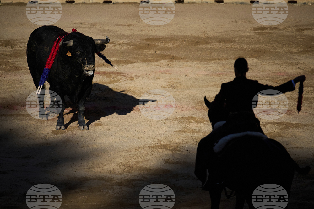 Spain Running of the Bulls