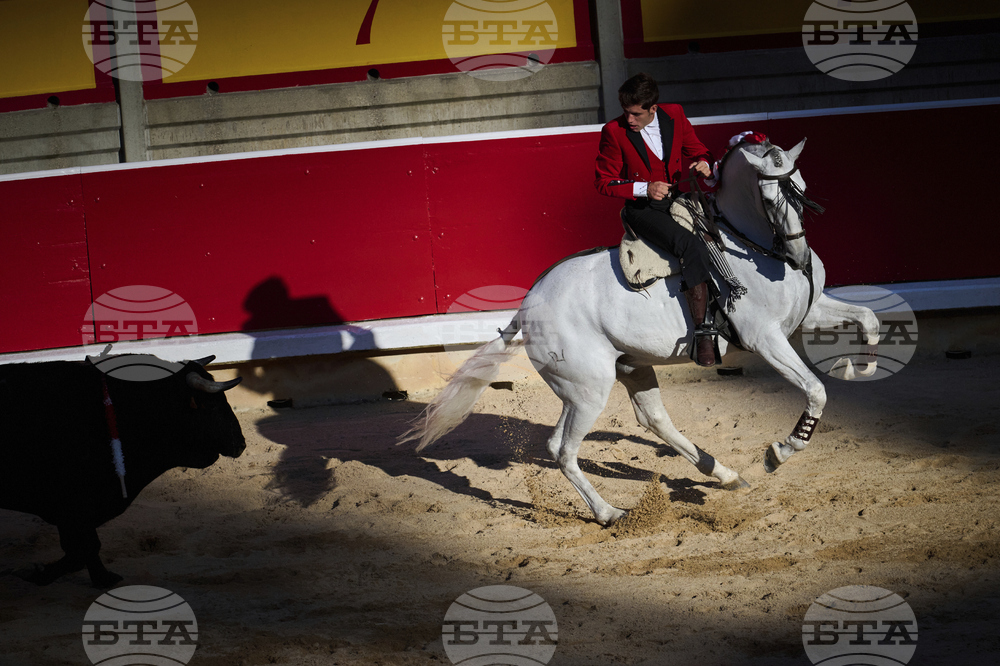 Spain Running of the Bulls