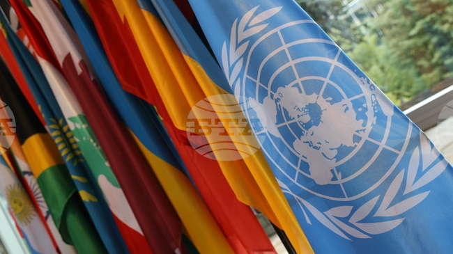 UNESCO World Heritage Committee to Pause Meetings for Bastille Day