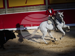 APTOPIX Spain Running of the Bulls