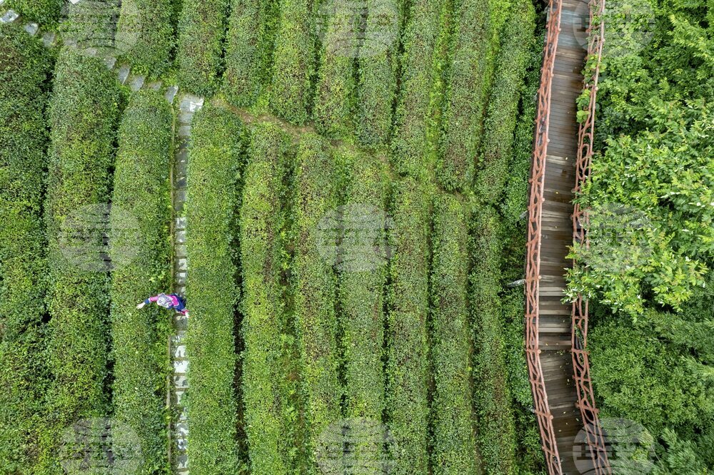 China Guizhou Tourism