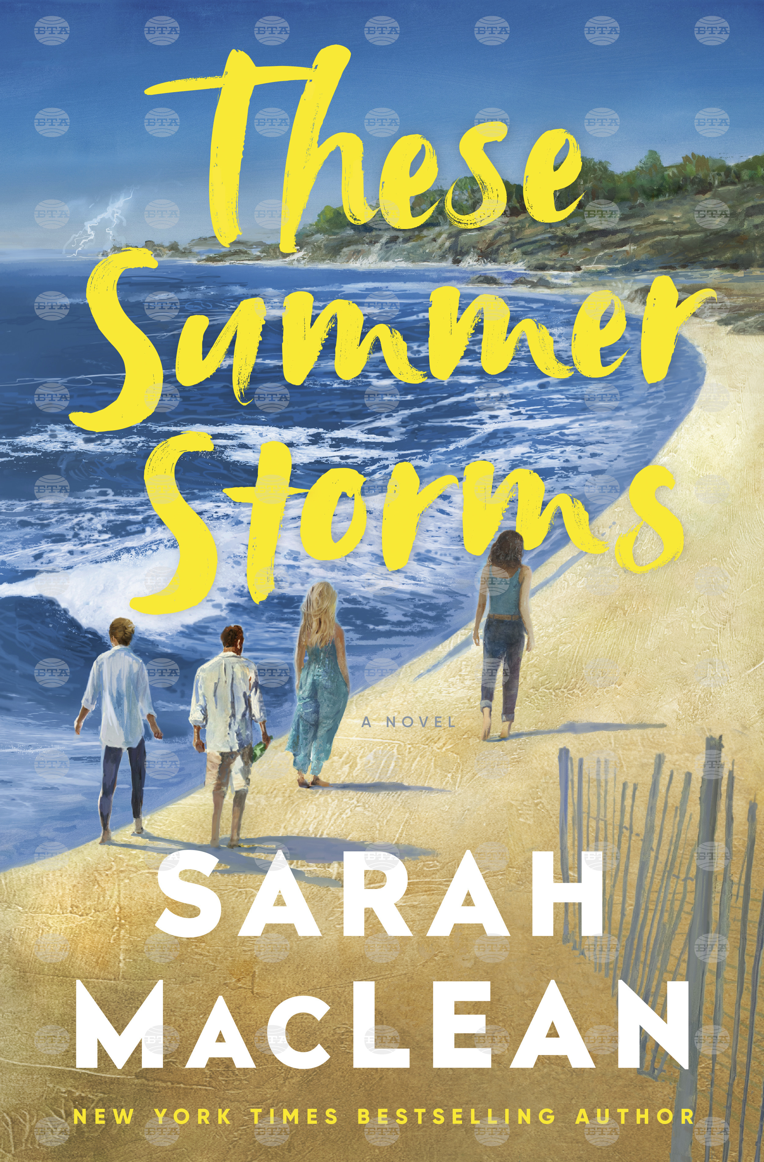 Book Review - These Summer Storms