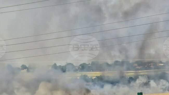 Heatwave Sparks Wildfires Across Bulgaria, Firefighting Efforts Continue in Several Regions