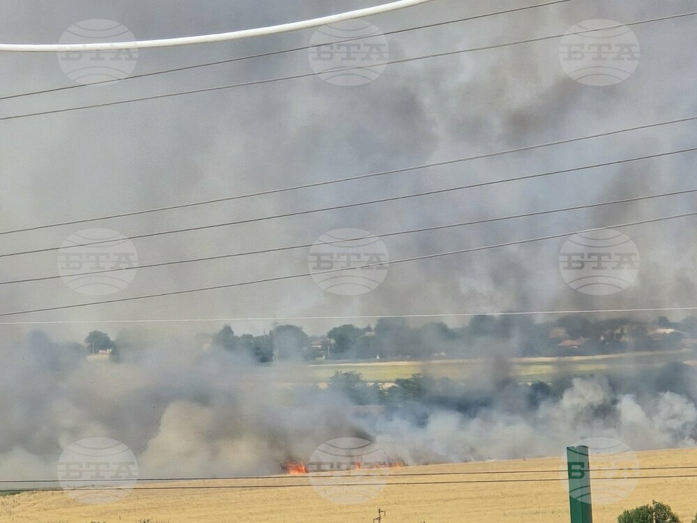 Пожар гори в сухи треви в района на селата Плачидол и Победа в Добричко