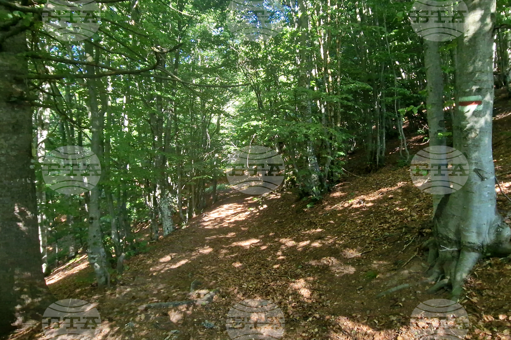 Good Mountain Hiking Conditions on Friday