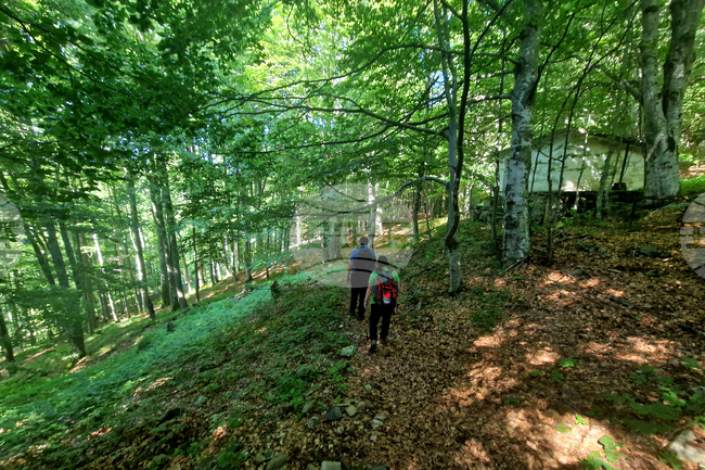 Троян - резерват „Стенето“ - вековна букова гора - ЮНЕСКО