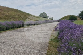 Исперих - списание ЛИК - Тракийската царска гробница