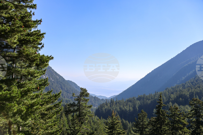 Горски служители ще протестират на главния път Е-79 при Кресна с искане за достойно възнаграждение