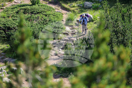 Банско - Национален парк „Пирин“ - ЮНЕСКО