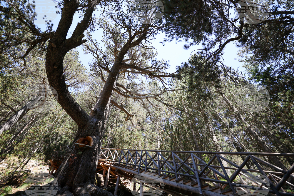 Банско - Национален парк „Пирин“ - ЮНЕСКО