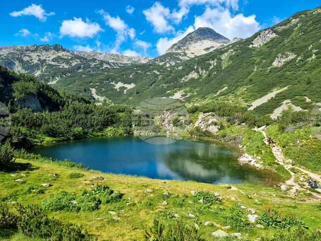 БТА: ОТ АРХИВИТЕ