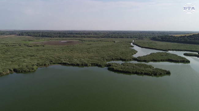 В резервата "Сребърна" живеят над 90 вида водоплаващи птици