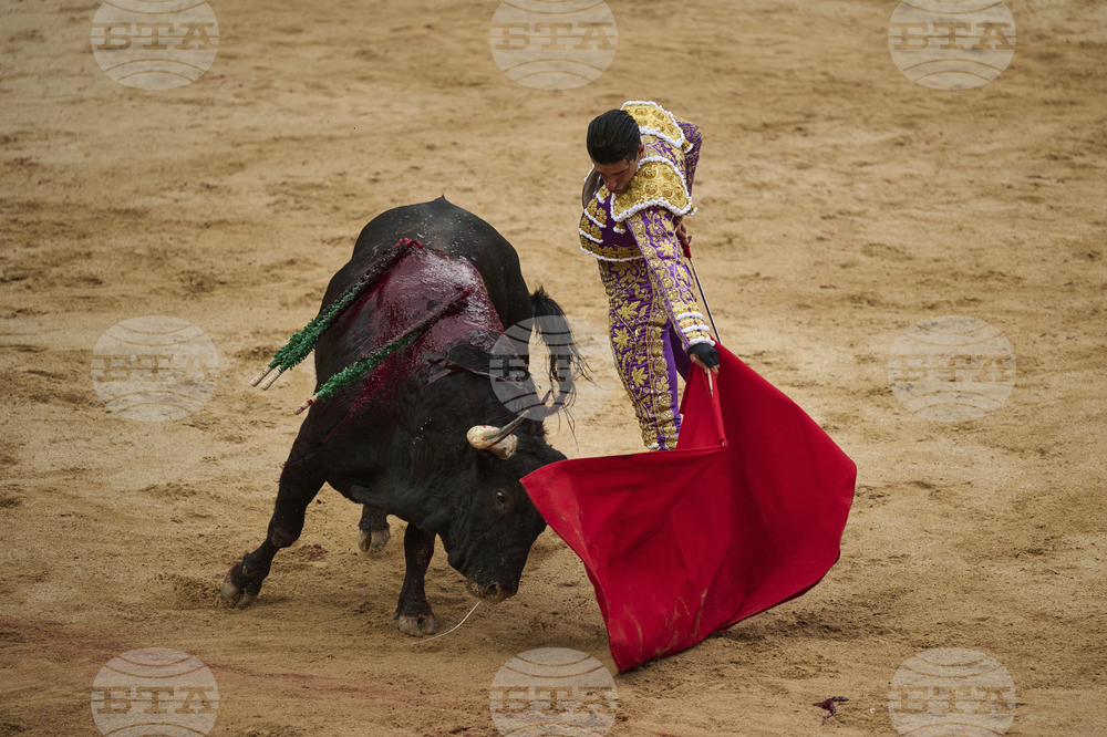 Spain Running of the Bulls
