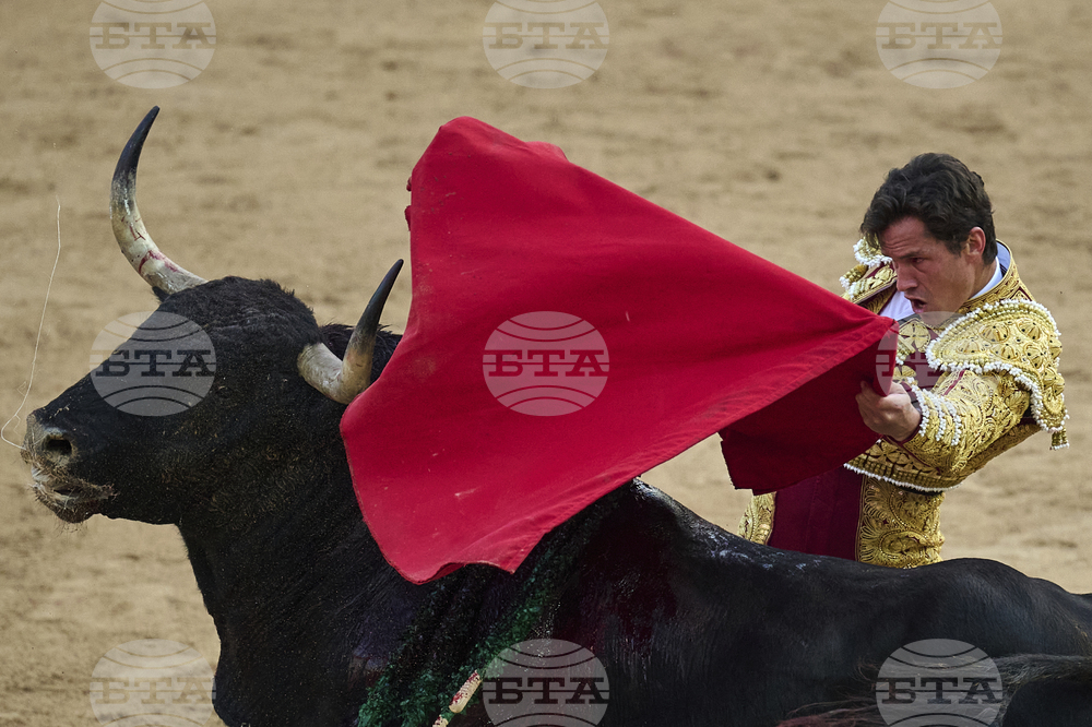 Spain Running of the Bulls