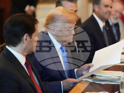 Trump US Israel