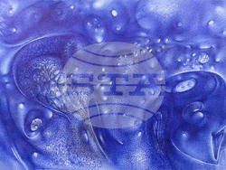 В първата си самостоятелна изложба проф. Сашо Драганов показва 1000 експоната, разделени в 22 теми, снимка – СБХ