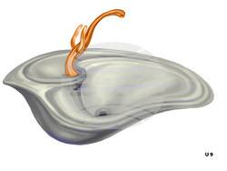 В първата си самостоятелна изложба проф. Сашо Драганов показва 1000 експоната, разделени в 22 теми, снимка – СБХ