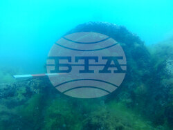 Снимка: Национален исторически музей