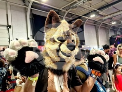 Aniventure Comic Con на 6 юли, снимки – Даниел Димитров/БТА