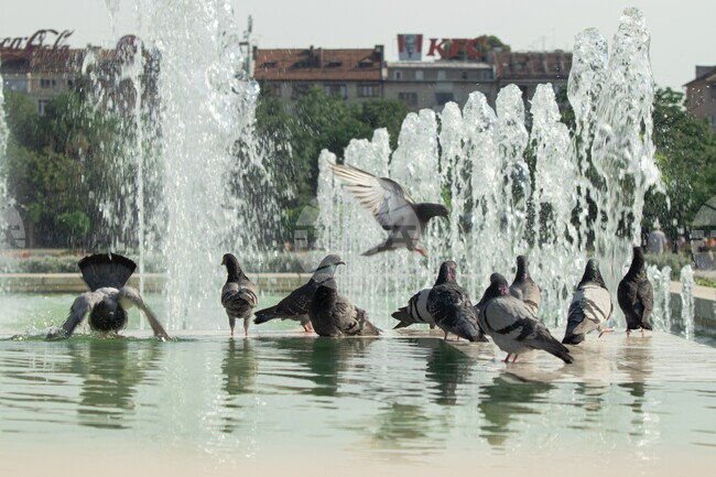 Горещо време