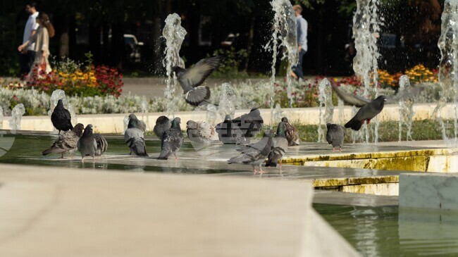 Red Alert for Very Dangerous High Temperatures Declared in 12 Regions for Saturday
