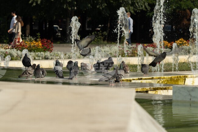 Red Alert for Very Dangerous High Temperatures Declared in 12 Regions for Saturday