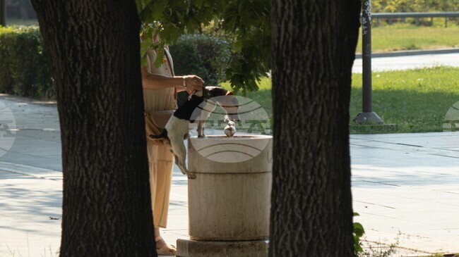 Environment Ministry Urges Organizations to Give Away Water due to Extreme Heat
