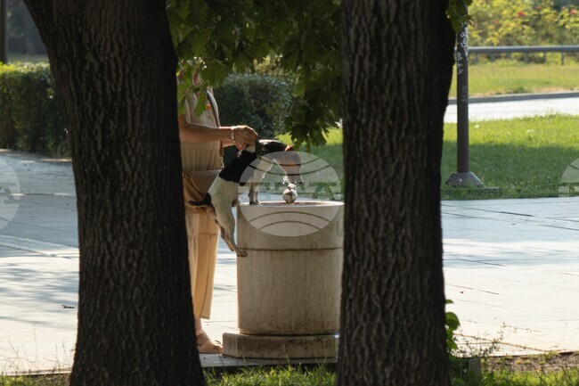 Environment Ministry Urges Organizations to Give Away Water due to Extreme Heat