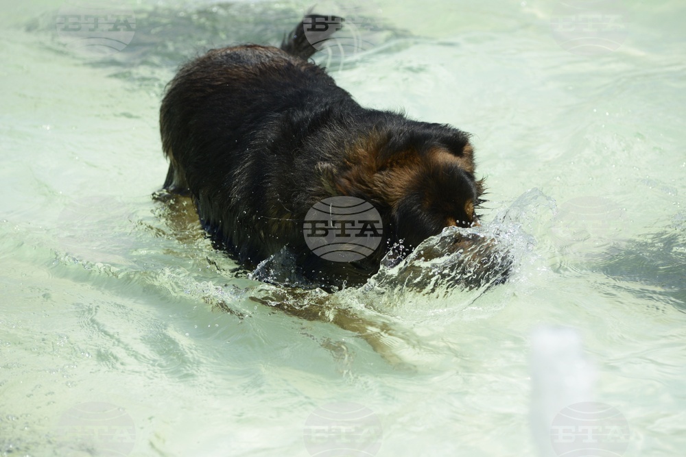 Горещо време