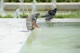 Горещо време