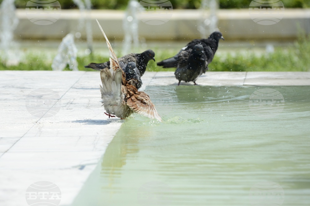 Горещо време