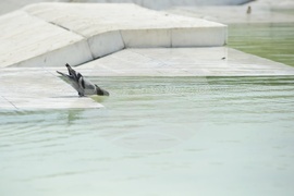 Горещо време