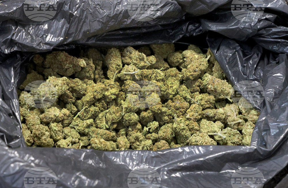 Полицията във Варна разкри наркооранжерия в село Аврен